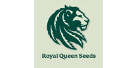 Royal Queen Seeds