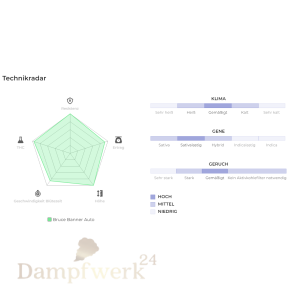 Fast Buds - Bruce Banner