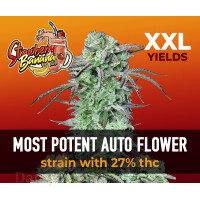 Fast Buds - Strawberry Banana