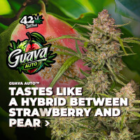 Fast Buds - Guava 2 Seeds