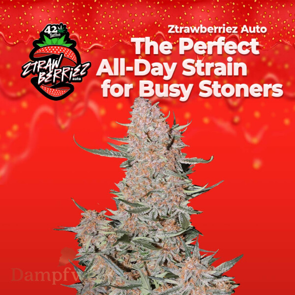Fast Buds - Ztrawberriez 5 Seeds