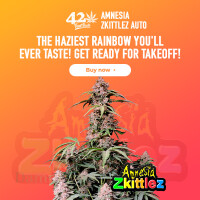 Fast Buds - Amnesia Zkittlez 2 Seeds