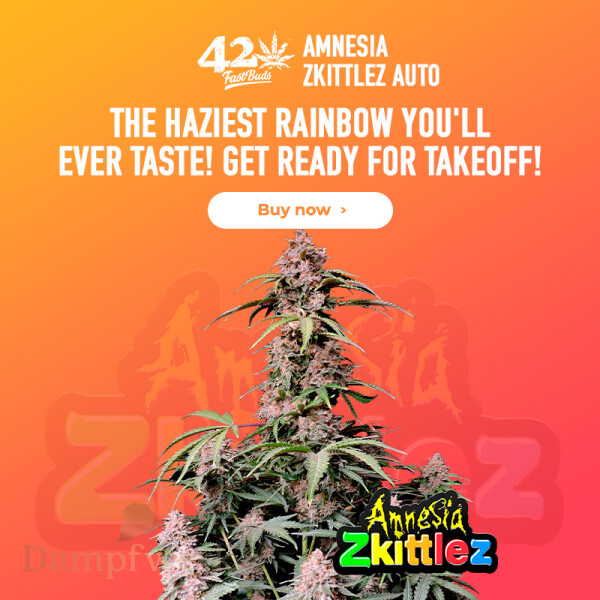 Fast Buds - Amnesia Zkittlez 5 Seeds