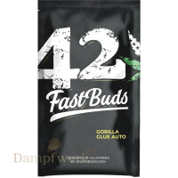 Fast Buds - Gorilla Glue 2 Seeds