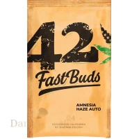 Fast Buds - Amnesia Haze Original  3 Seeds