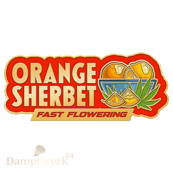 Fast Buds - Orange Sherbet FF 2 Seeds