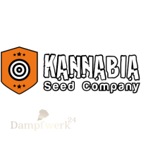 Kannabia Ginger Punch Auto - 3 Pack