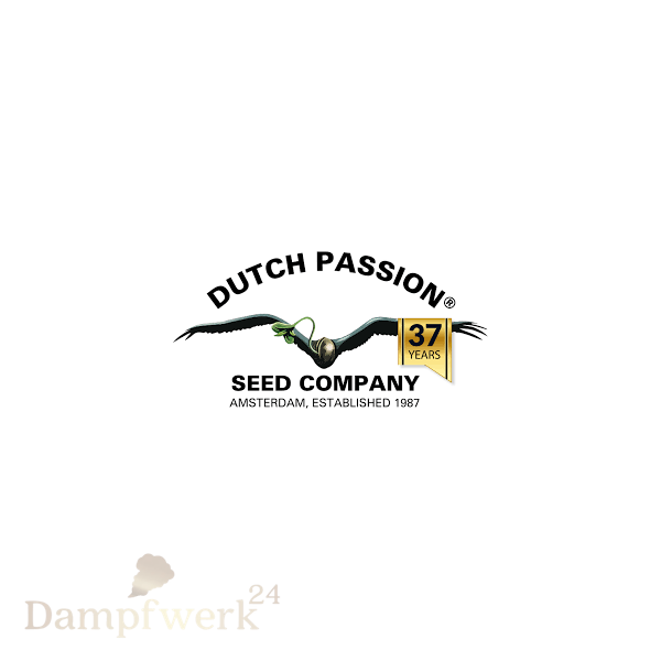 Dutch Passion Auto OH my Gusher - 1 Samen