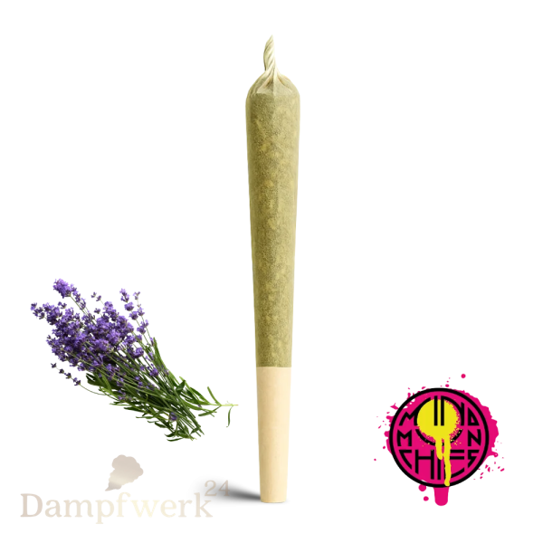 MindMunchies DNT-9  Räucherstäbchen Tube Lavendico
