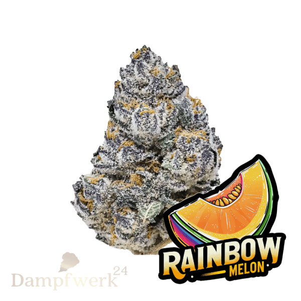 Fast Buds - Rainbow Melon FEM