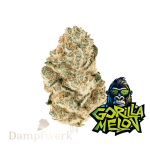 Fast Buds - Gorilla Melon FEM 1 Seed