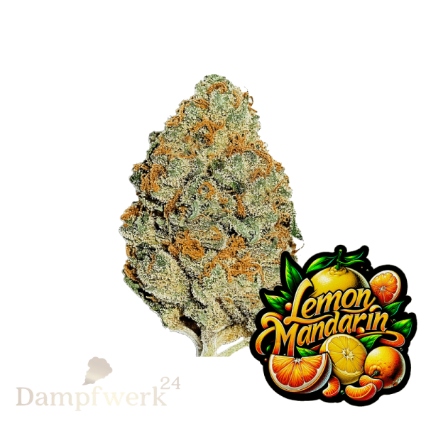 Fast Buds - Lemon Mandarin FEM 1 Seed