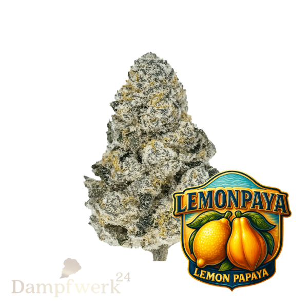 Fast Buds - Lemonpaya FEM 3 Seeds