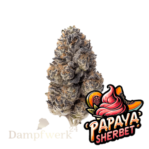 Fast Buds - Papaya Sherbet FEM 1 Seed