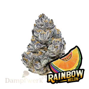 Fast Buds - Rainbow Melon FEM 3 Seeds