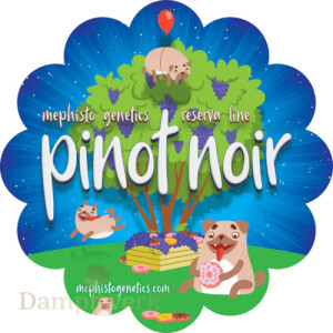 Mephisto - Rerserva Line  - Pinot Noir 3 Pack