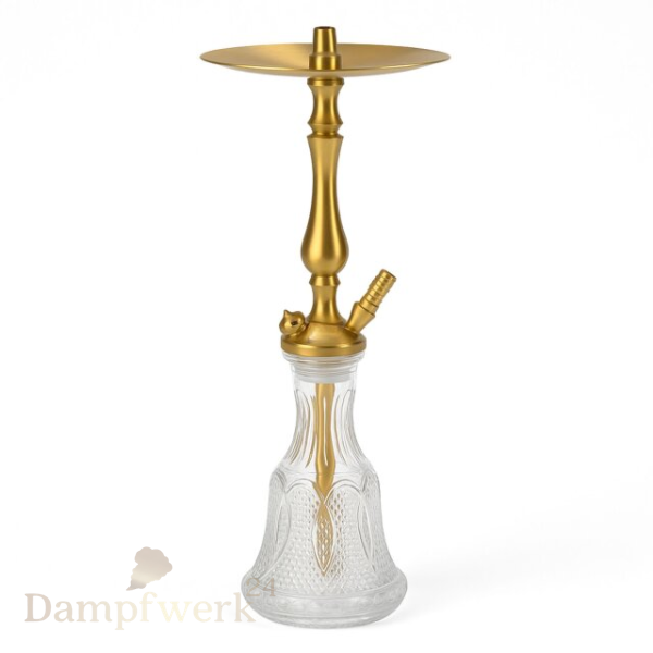 WD Hookah – Tradi T1G 163B